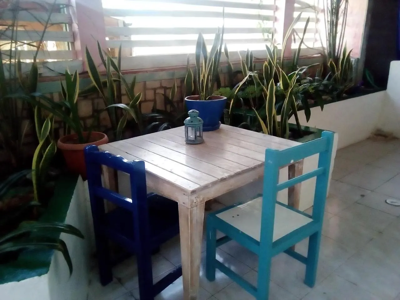 B&B Residence A Paz 살 레이