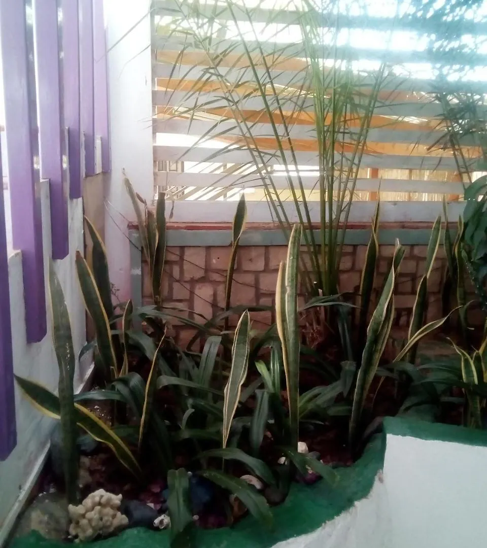 Residence A Paz Sal Rei Bed & Breakfast